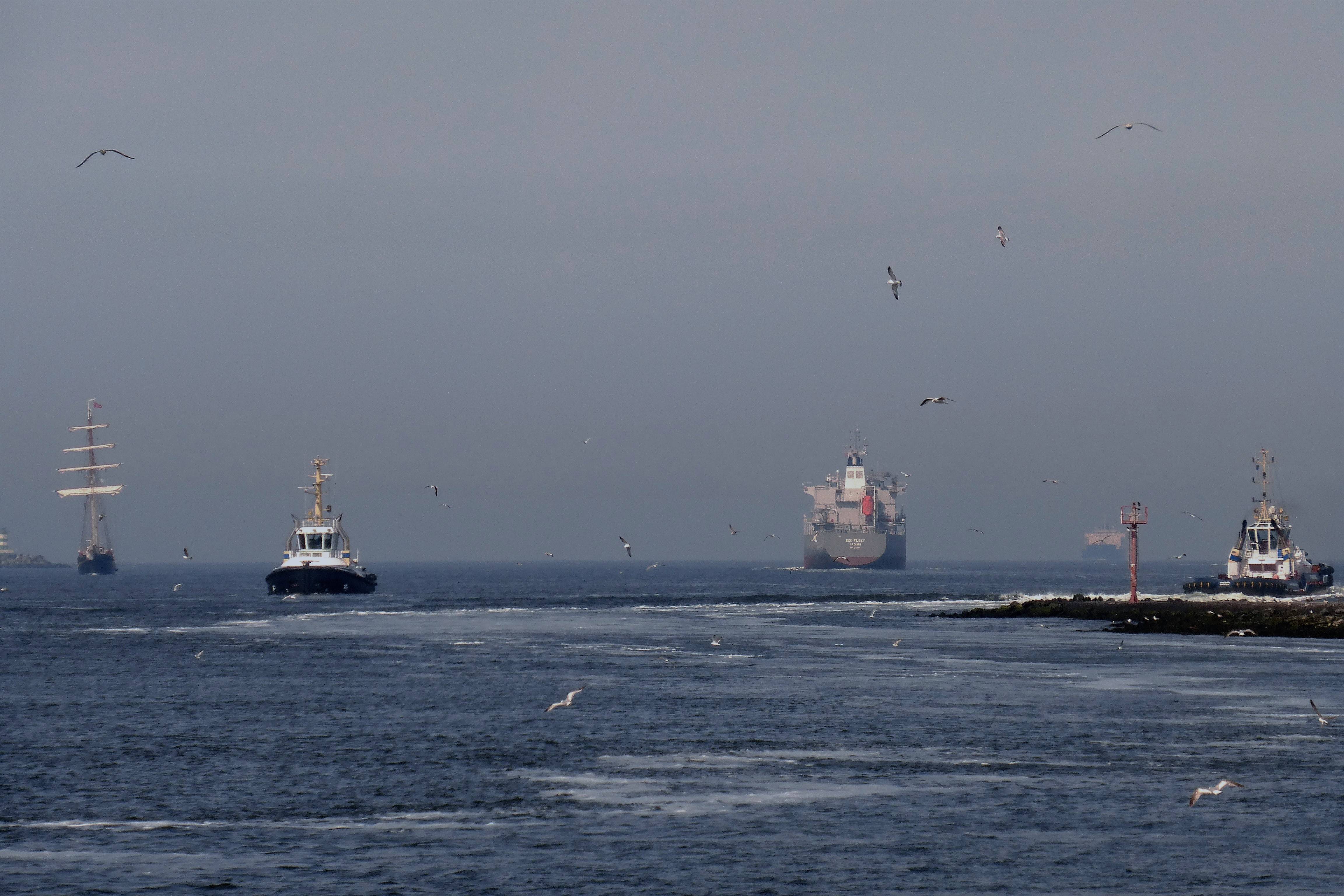Pieren IJmuiden   23-05-19 